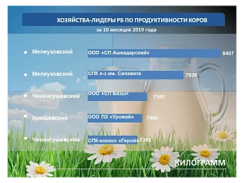 Минсельхоз РБ: составлен молочный рейтинг за 10 месяцев года