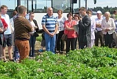 Задачи и решения семеноводства