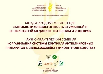 В Белгороде организуют систему контроля антимикробных препаратов
