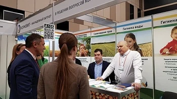 На выставку – за информацией