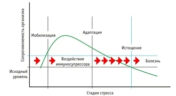 Виды стресса у коров и методы повышения стрессоустойчивости