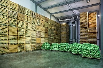 В Волгоградской области растут мощности хранения