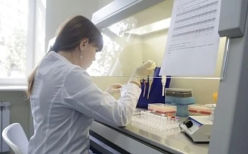 Новым сортам сельскохозяйственных растений выдадут ДНК-паспорт