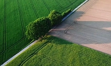 Как ИИ повлияет на сельское хозяйство