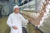 Рыжик для бройлера