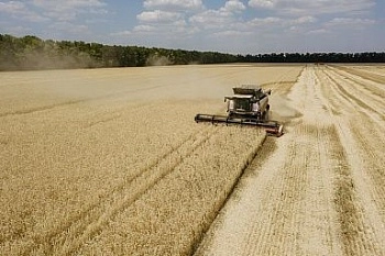 Господдержка АПК в 2025 году составила 665 млрд рублей