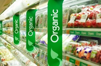 Переход на органику: почему мир заинтересовался здоровым питанием?