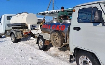 С господдержкой АПК Коми увеличил объемы производства