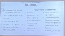 От экологической проблемы к высокой прибыли