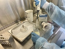 Молоко молочное и немолоко растительное: в чем разница?