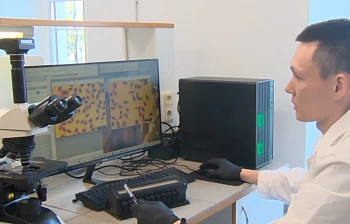 Специалисты продолжают эксперименты по выращиванию судака в индустриальных условиях