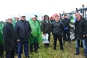 Корма - всему голова
