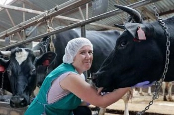 В АПК Вологодской области открыты тысячи вакансий