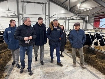 В Лужском районе — новые телятники и современная ветклиника