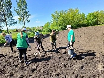 Школы из разных регионов страны соревнуются ﻿в конкурсе Картофельный БУМ!