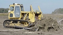 В Подмосковье введут в сельхозоборот 10 тысяч гектаров залежных земель
