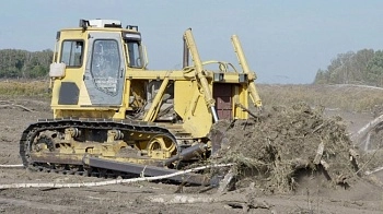 В Подмосковье введут в сельхозоборот 10 тысяч гектаров залежных земель
