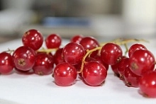 Полезны ли свежие ягоды зимой?