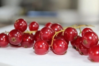 Полезны ли свежие ягоды зимой?