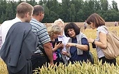 Запас прочности растениеводства