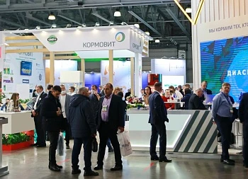 Кормление сельхозживотных и птицы – задача всегда актуальная