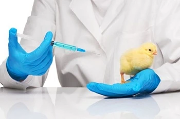 Конференция по диагностике и профилактике болезней сельскохозяйственных птиц