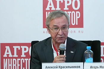 Картофель: рекорды, импорт и курс на переработку
