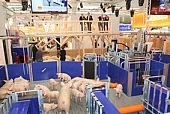 EuroTier-2014 соберет мировых лидеров животноводства