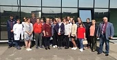 От теленка до коровы