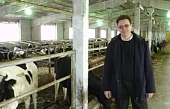 Новые дворы для телят
