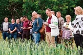 Часть общей стратегии