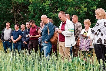 Часть общей стратегии