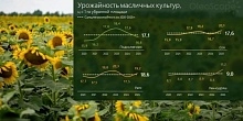 Урожайность сои, льна и рапса демонстрирует рекорды на фоне снижения показателей по подсолнечнику