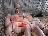 Задача – повысить эффективность