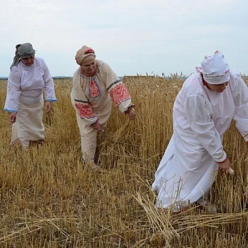 Праздник первого снопа прошел в Зарайске