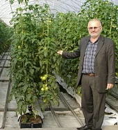 Новости овощеводства и кормопроизводства