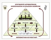 Влияние антибиотиков на растения