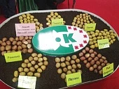 «КАРТОФЕЛЬ-2013»: крупнейший форум специалистов отрасли