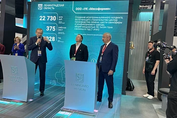 Ленобласть развивает производство свинины