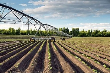 В 2026 году будет поддержано почти 1,3 тысячи проектов по мелиорации