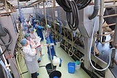 Конкурсы профессионального мастерства – это способ передачи опыта