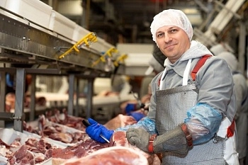 Стартовали первые поставки российской свинины в Африку