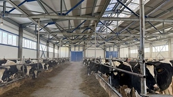 В СПК «Панинское» ввели в эксплуатацию новую животноводческую ферму