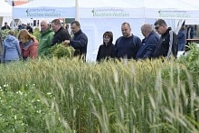 Современные решения для защиты растений для перспективного земледелия