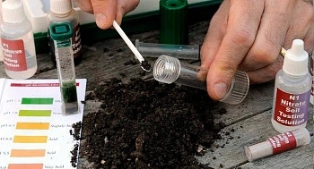 Предзимняя подготовка грунта — залог будущего плодородия