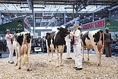EuroTier-2014: подготовка идет полным ходом