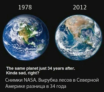 Синтезированная еда или экопродукты?
