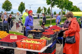 Ах, ярмарка, как ты хороша! У русского народа широкая душа!