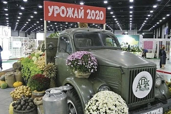 Прорывная «Агрорусь»