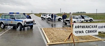 Учения по ликвидации особо опасных болезней животных проводятся в Челябинской области
